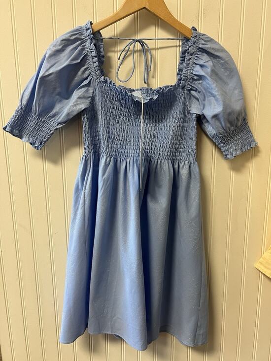 Hill House Dresses & Skirts - NWT Hill House The Athena Nap Dress in Light Blue Glitter Check Size XS New